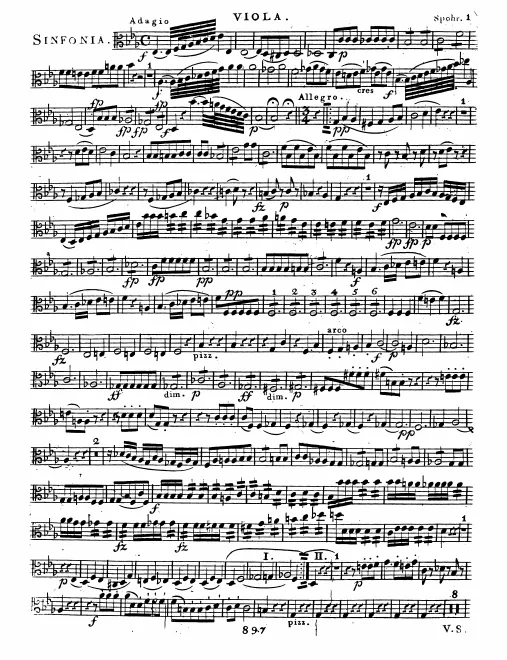 Violas