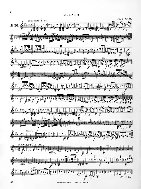 Violin 2