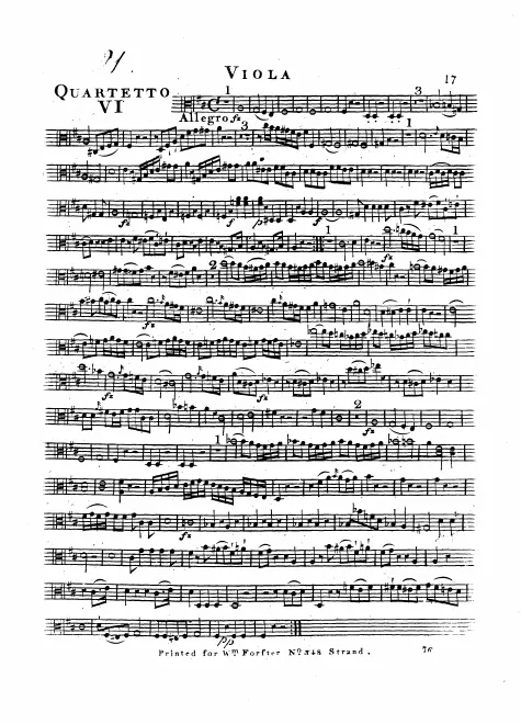 Viola