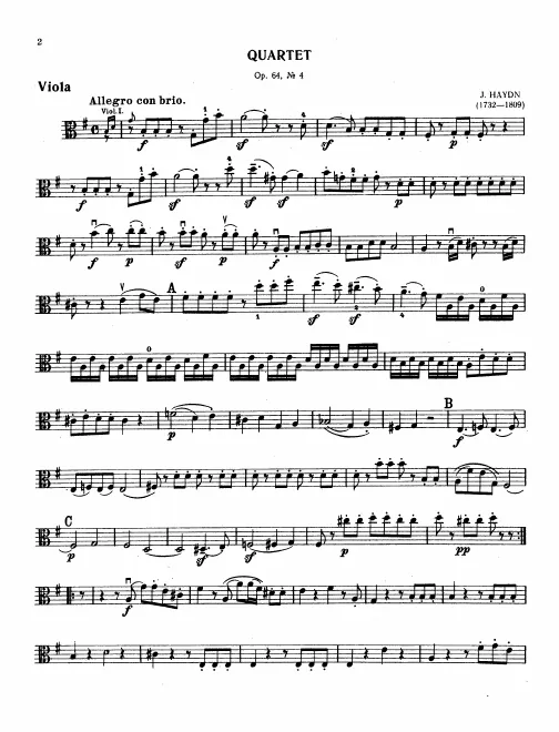 Viola