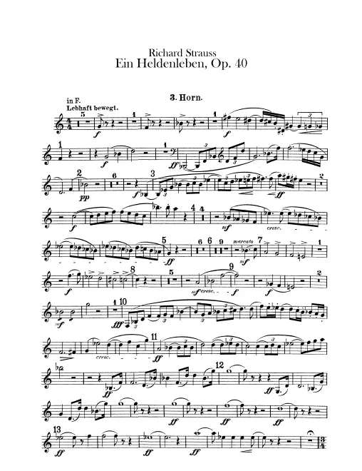 Horn 3 (F/E)