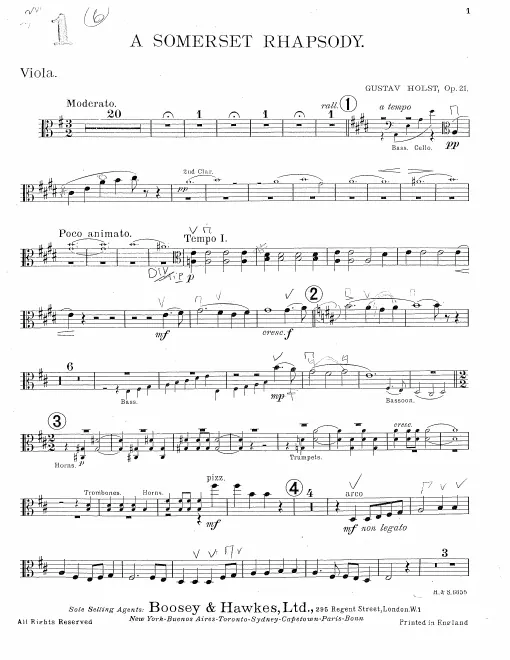 Violas