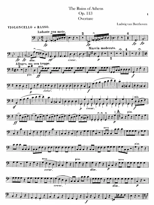 Cellos/Basses