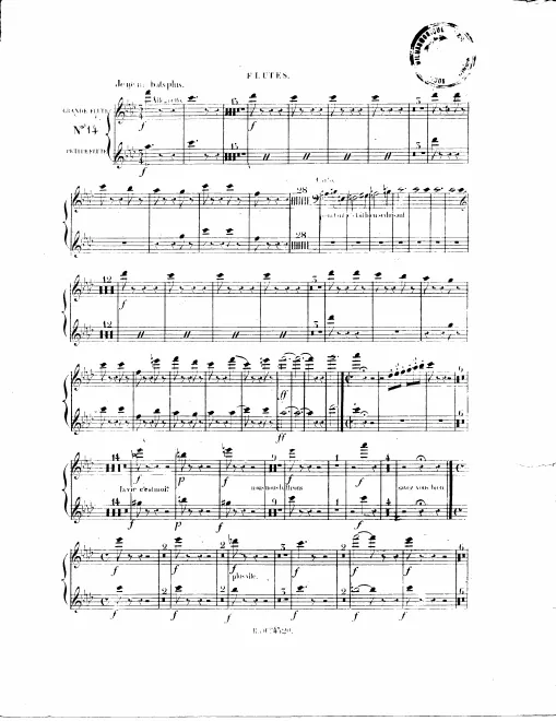 Flute/Piccolo