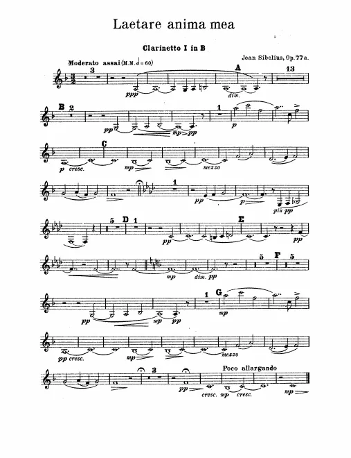 Clarinet 1, 2 (B)