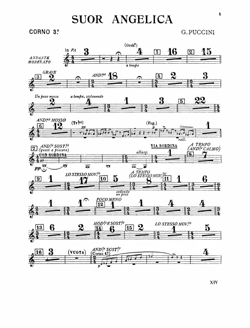 Horn 3 (F)