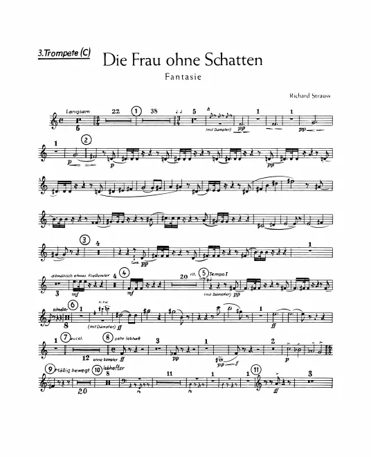 Trumpet 3 (C)