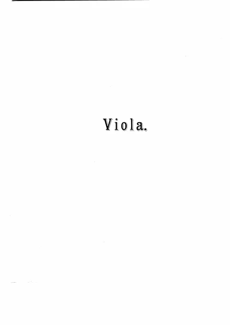 Viola