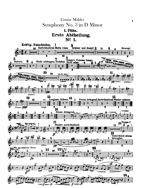 Flute 1/Piccolo 1