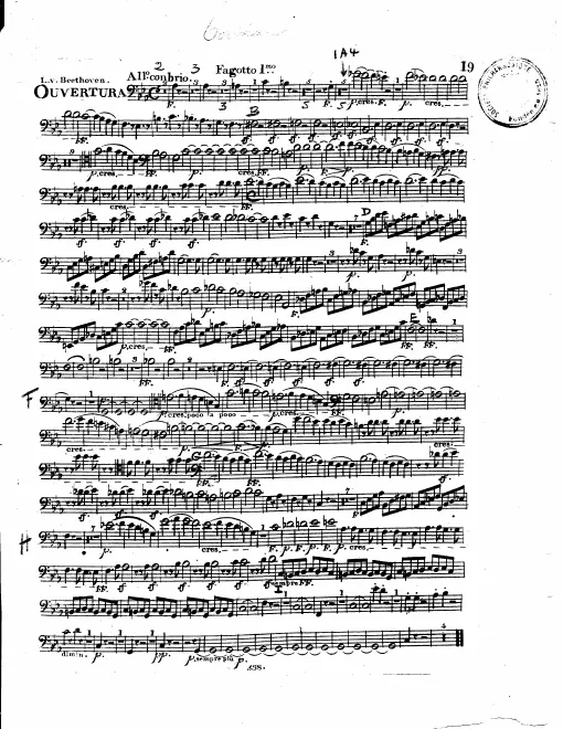 Bassoon 1/2
