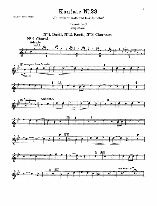 Cornet (or Flugelhorn) (C)*