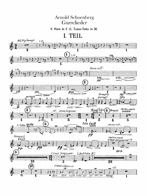 Horn 8 (F)/Tenor Wagner Tuba 2 (B)