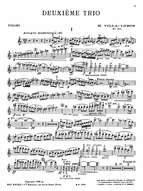 Violin