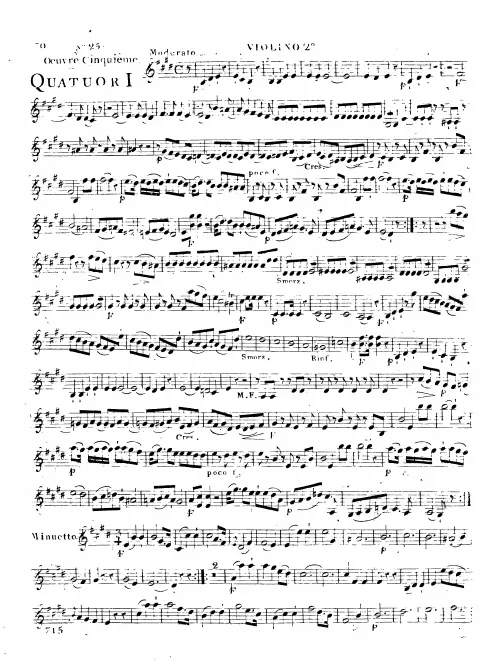 Violin 2