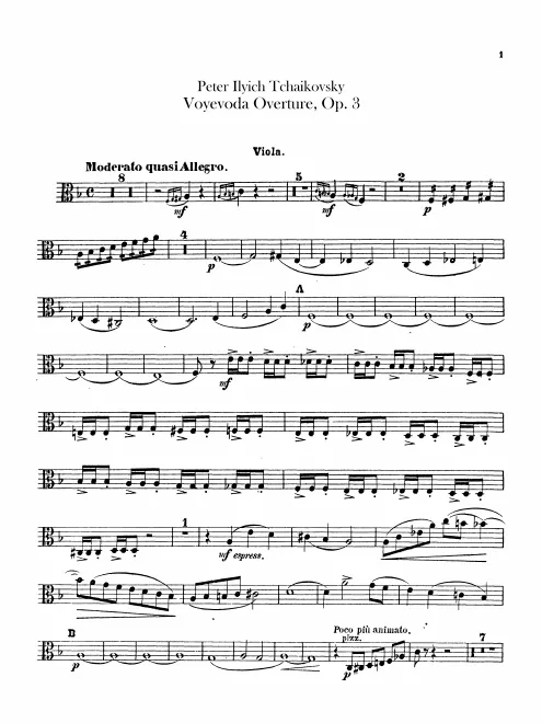 Violas