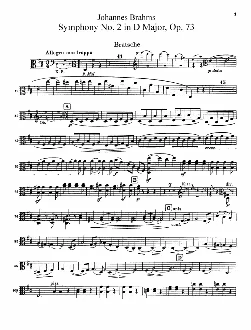 Violas