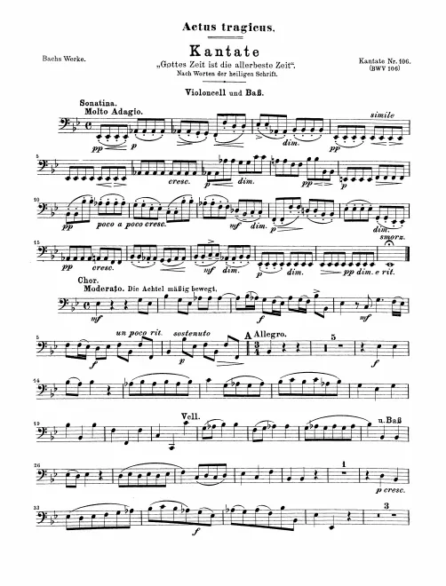 Cellos/Basses