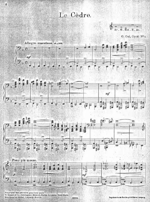 1. Le cèdre