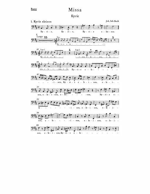 Basses