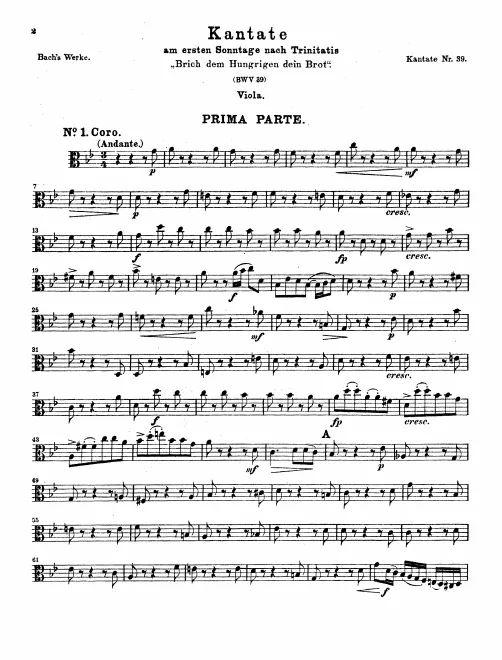 Violas
