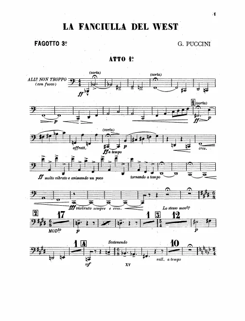 Bassoon 3