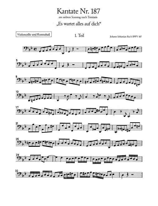 Cellos/Basses