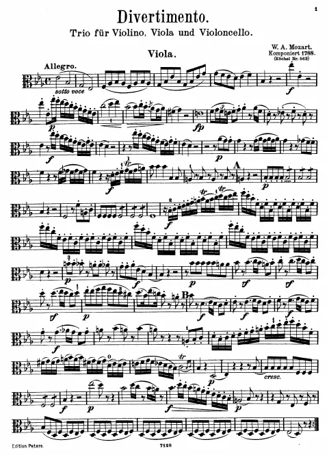 Viola