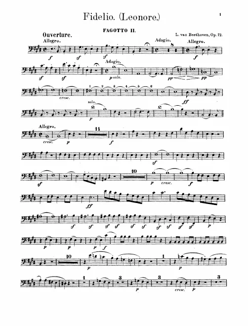 Bassoon 2