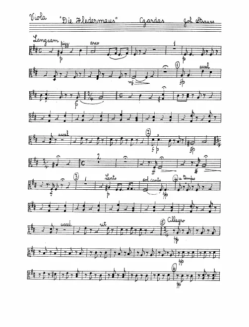 Violas