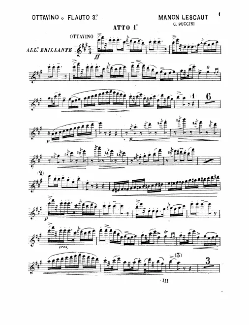 Flute 3/Piccolo