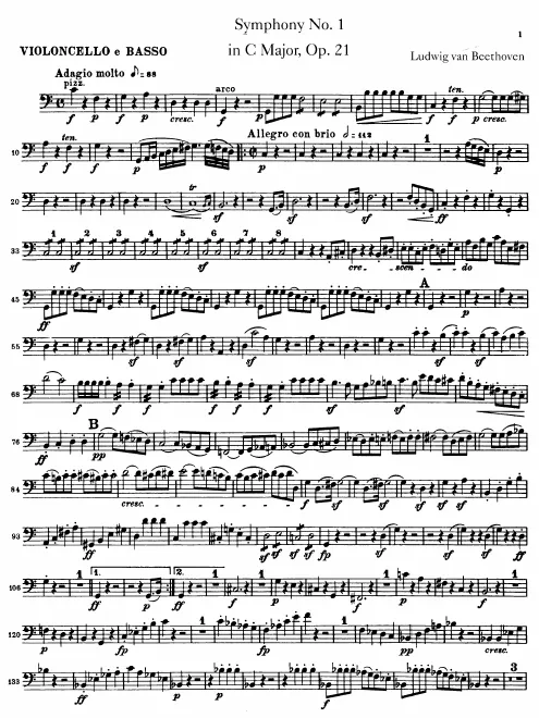 Cellos/Basses