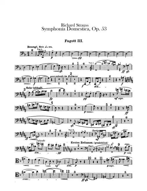 Bassoon 3