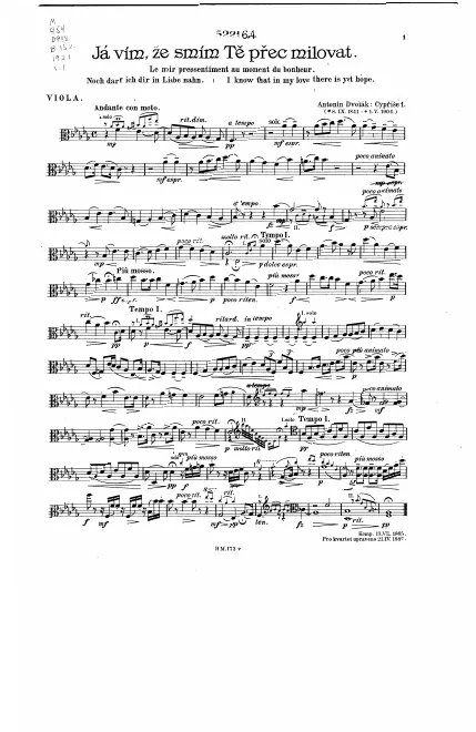 Viola
