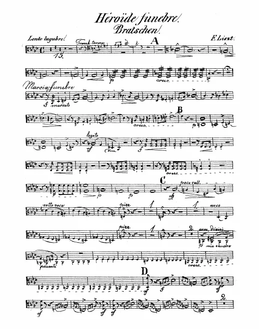 Violas