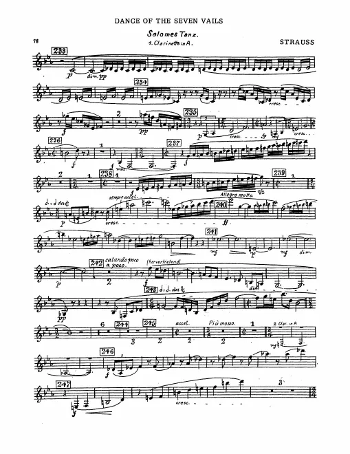 Clarinet 1, 2 (A), Bass Clarinet (B), Piccolo Clarinet (E)