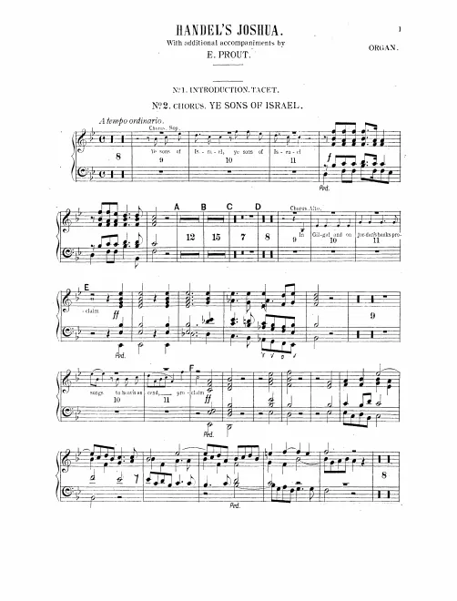 Organ