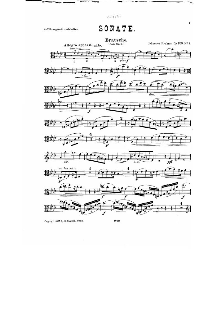 Viola