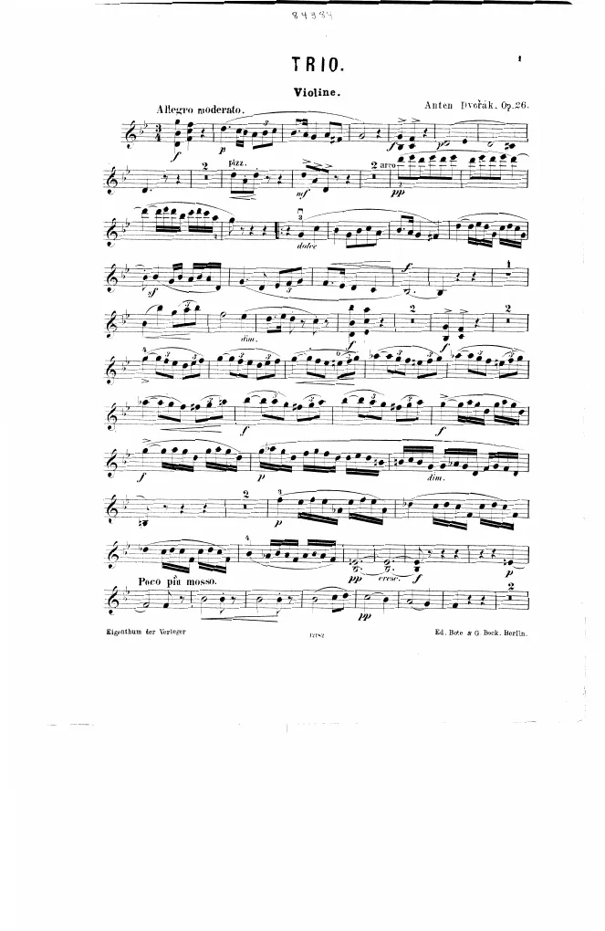 Violin
