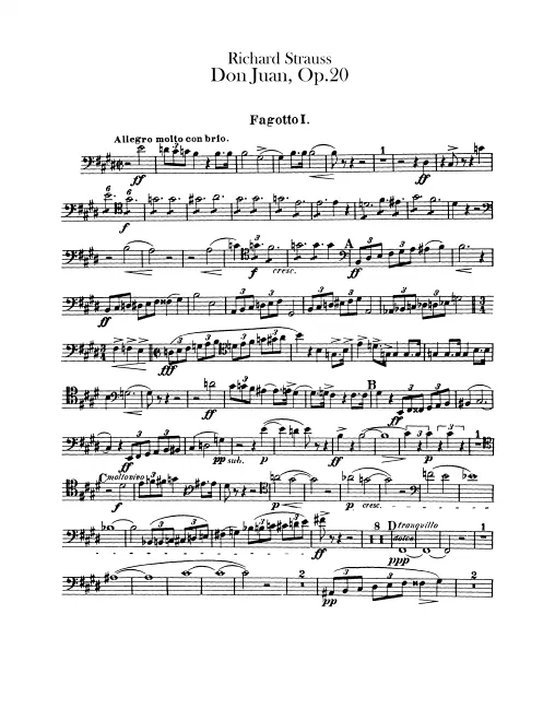 Bassoon 1