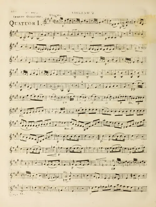 Violin 2