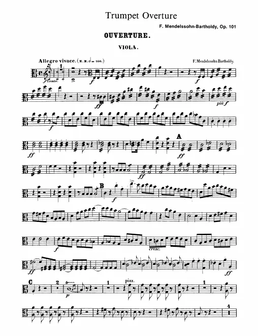 Violas