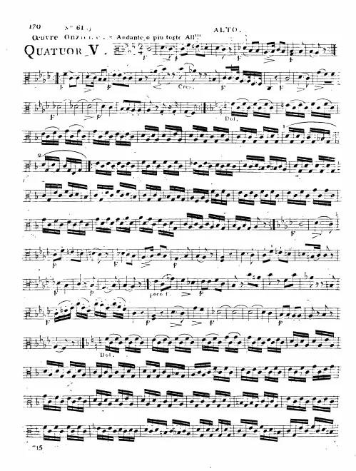 Viola