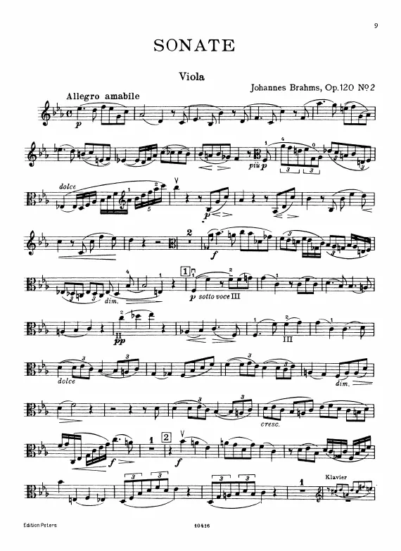 Viola