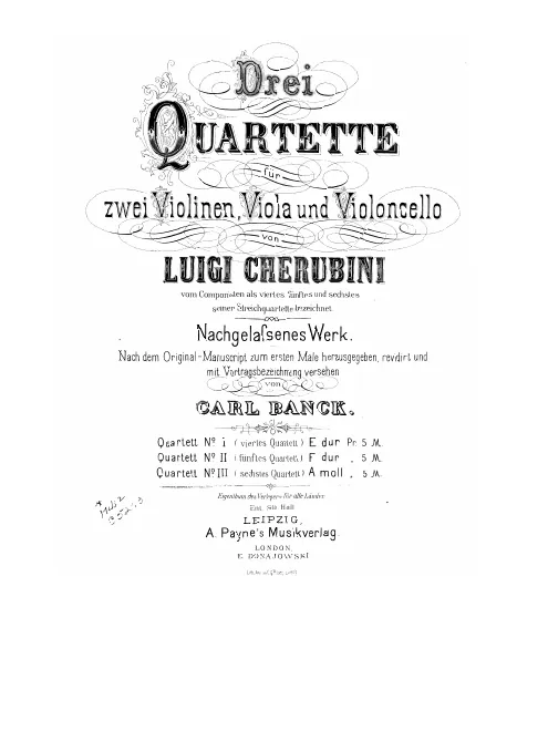 Violoncello