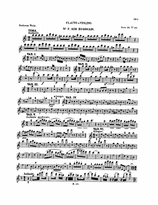 Flute