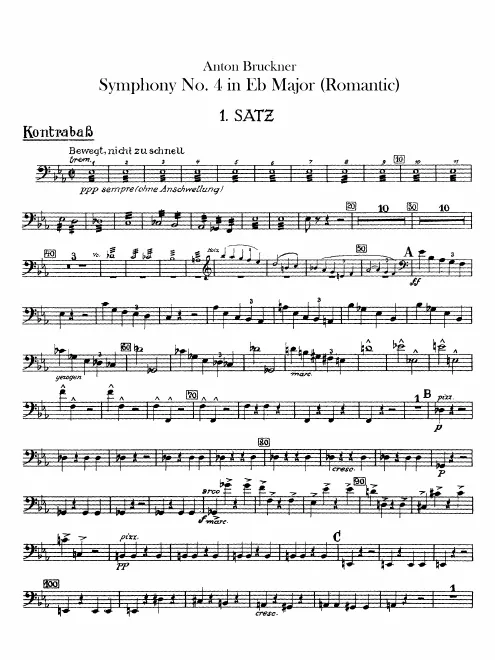 Basses
