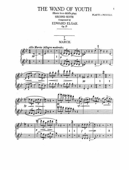 Flute 1/2 (2nd also Piccolo)