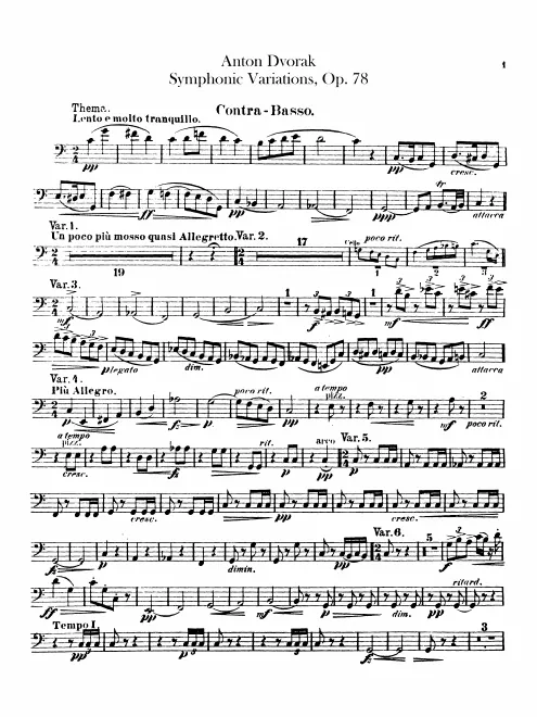 Basses