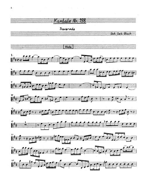 Violas