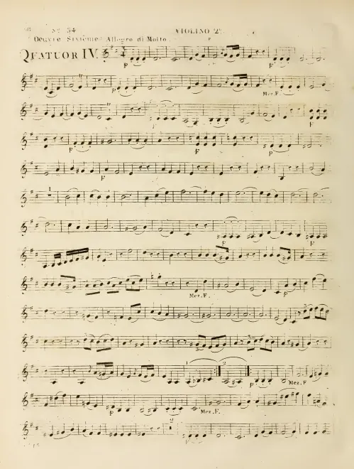Violin 2